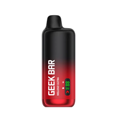 Chocolat mint ice cream